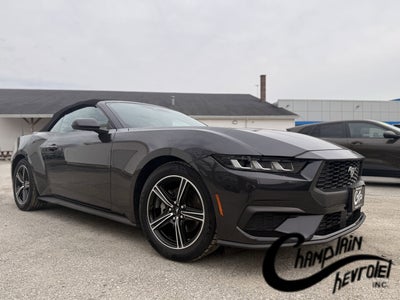 2024 Ford Mustang EcoBoost