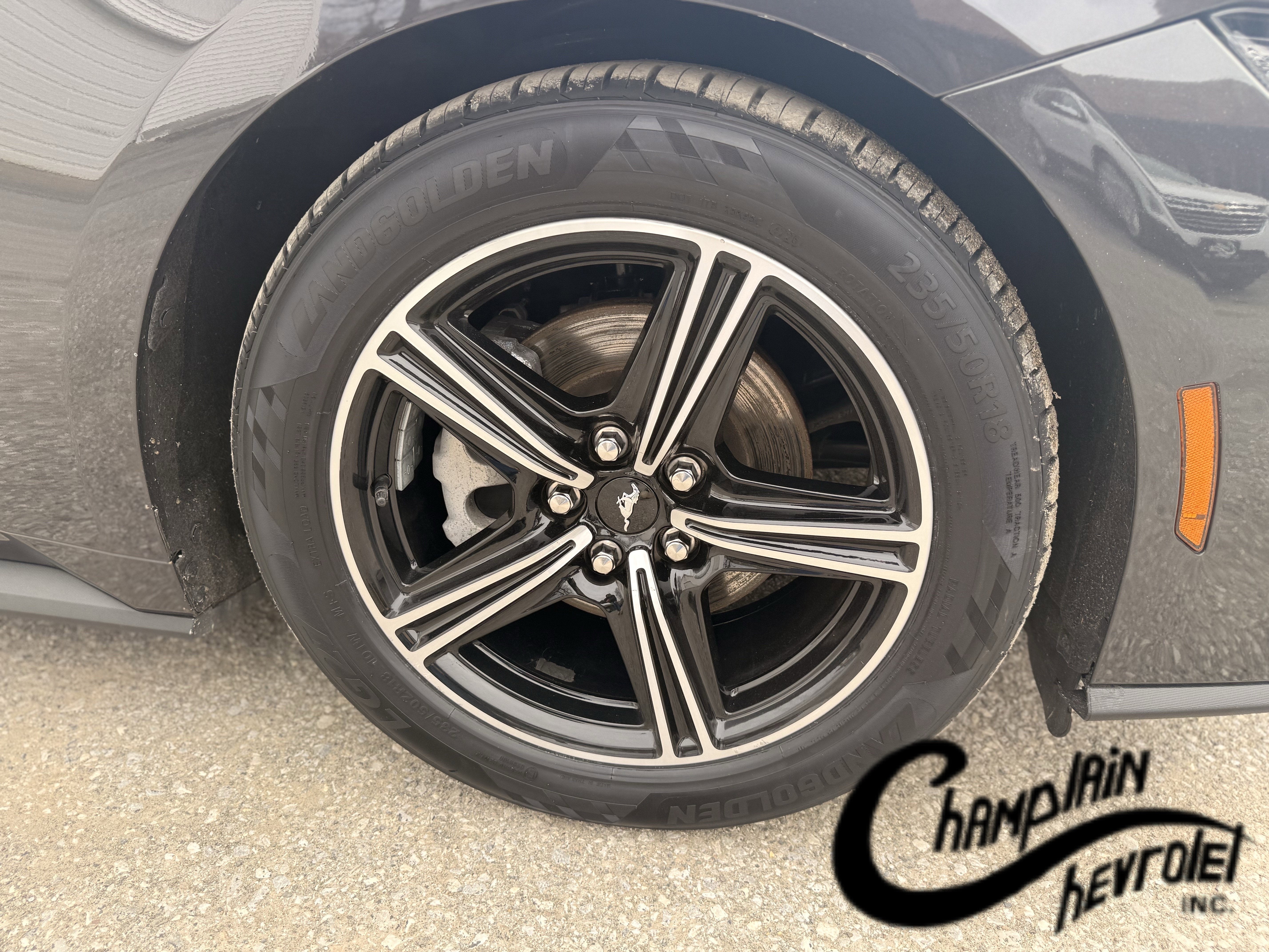 2024 Ford Mustang EcoBoost