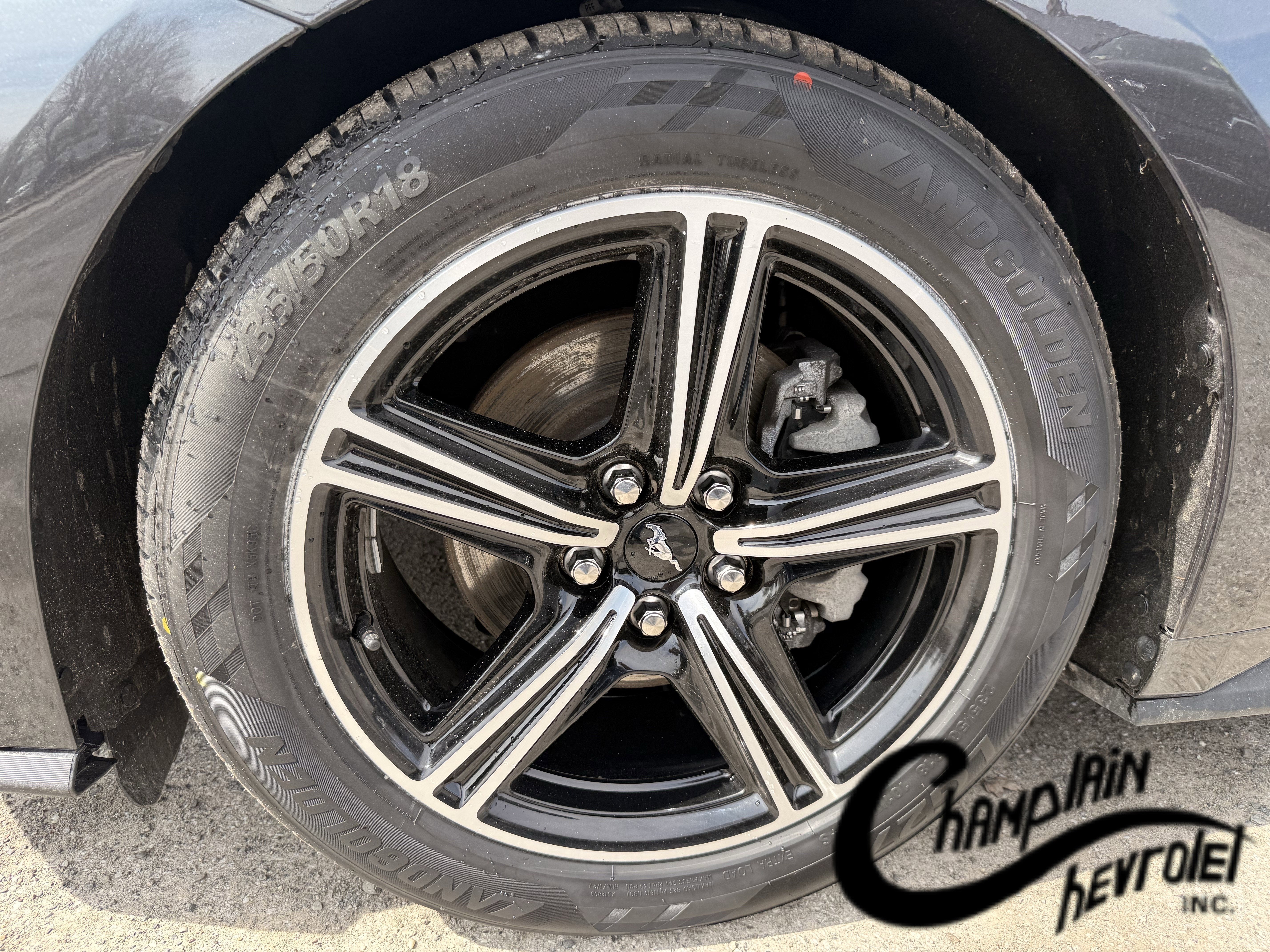 2024 Ford Mustang EcoBoost