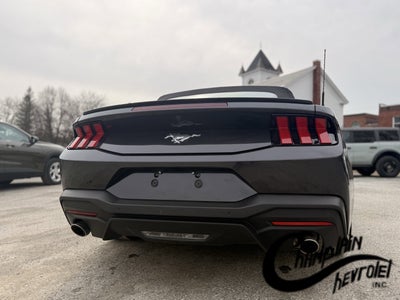 2024 Ford Mustang EcoBoost