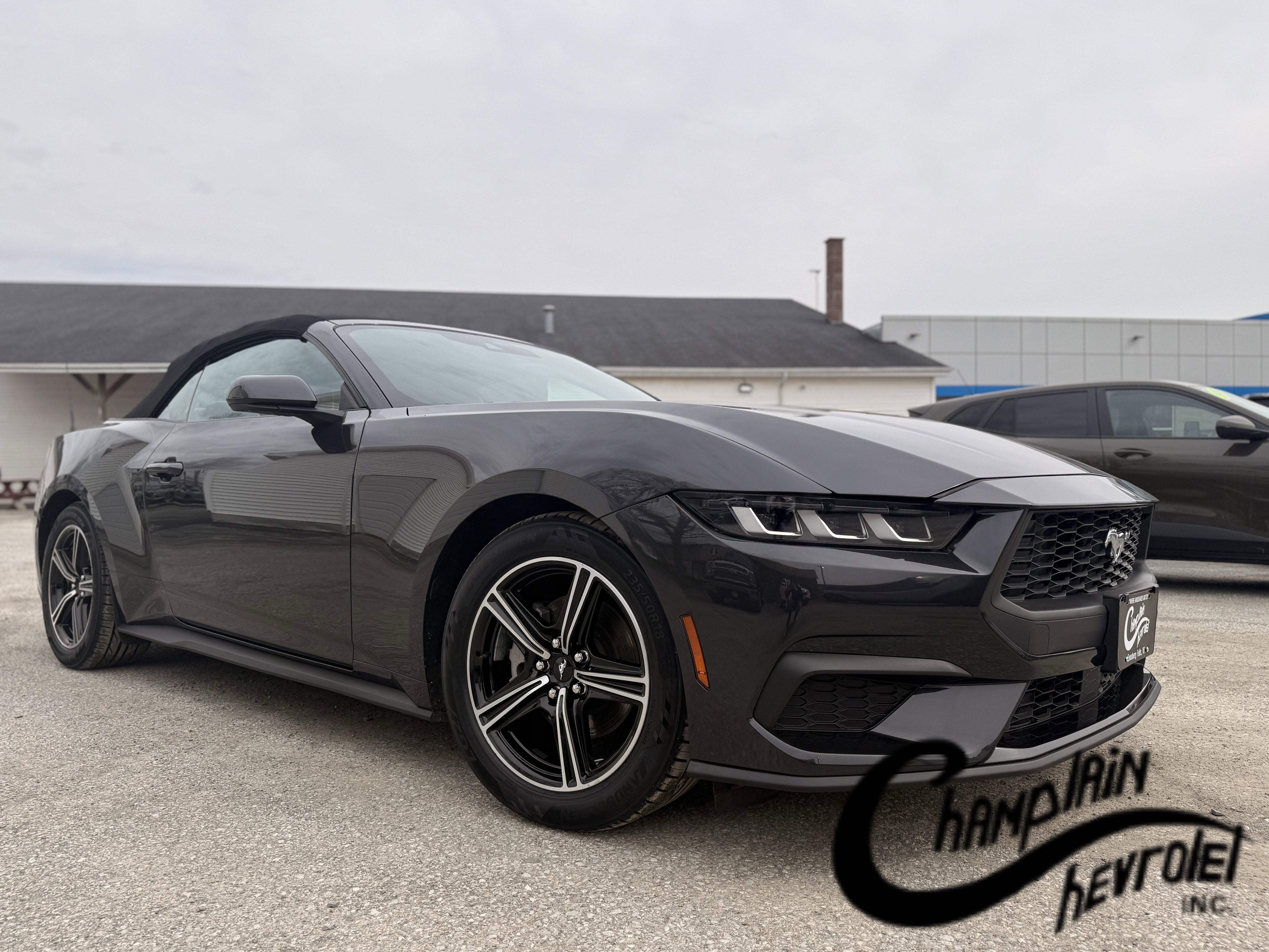 2024 Ford Mustang EcoBoost