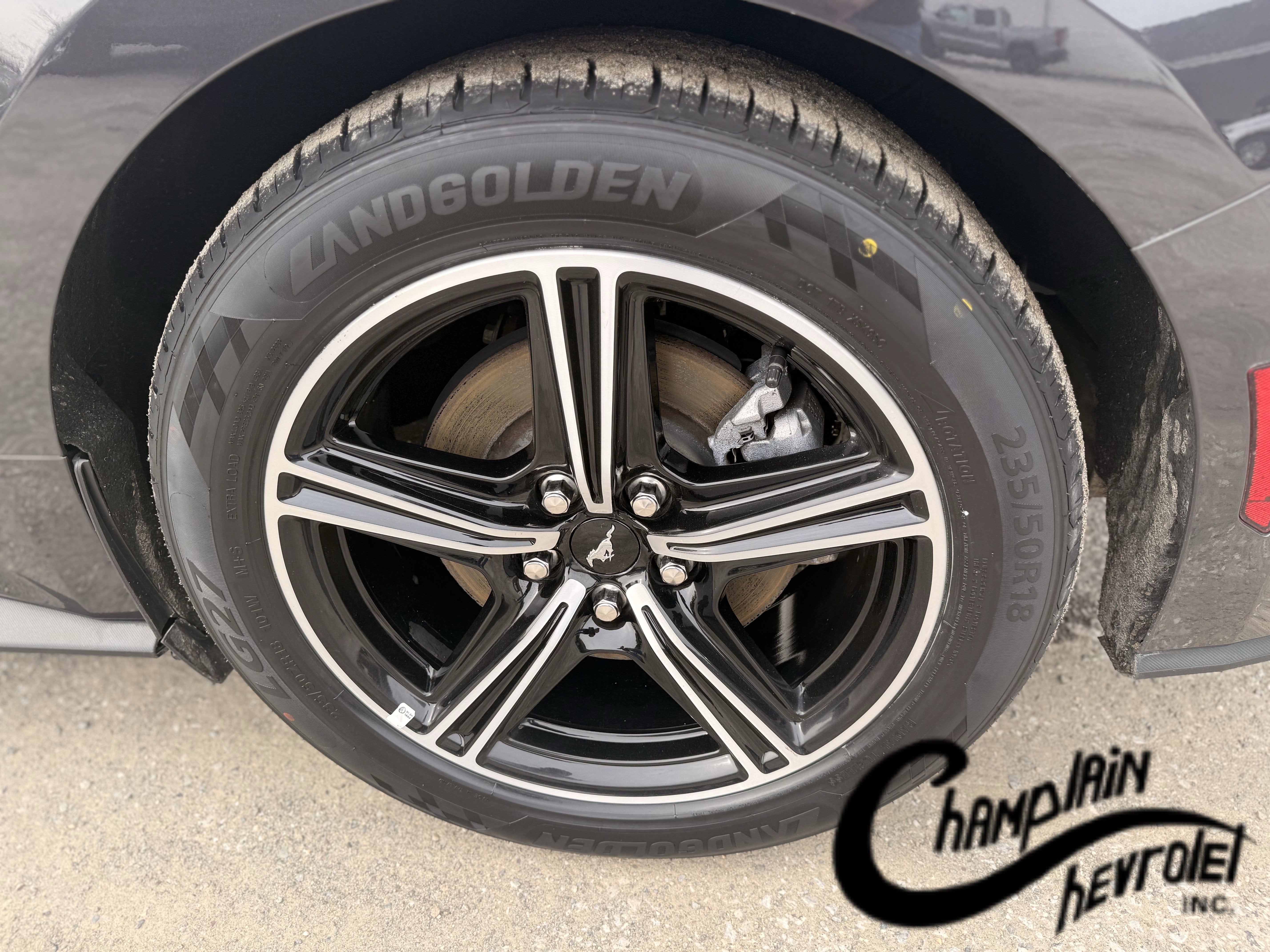 2024 Ford Mustang EcoBoost